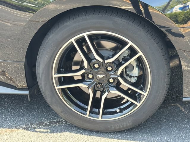 Used 2022 Ford Mustang GT Premium w/ Equipment Group 401A RWD image 18