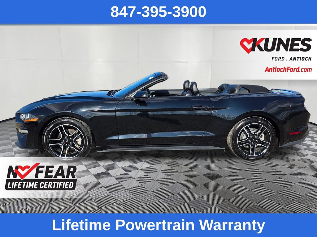 Certified 2022 Ford Mustang Premium image 4