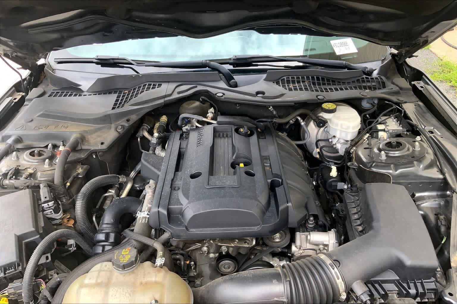 Used 2019 Ford Mustang Premium w/ Equipment Group 201A RWD image 26
