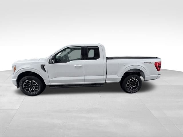 Used 2021 Ford F150 XLT w/ Equipment Group 302A High image 8