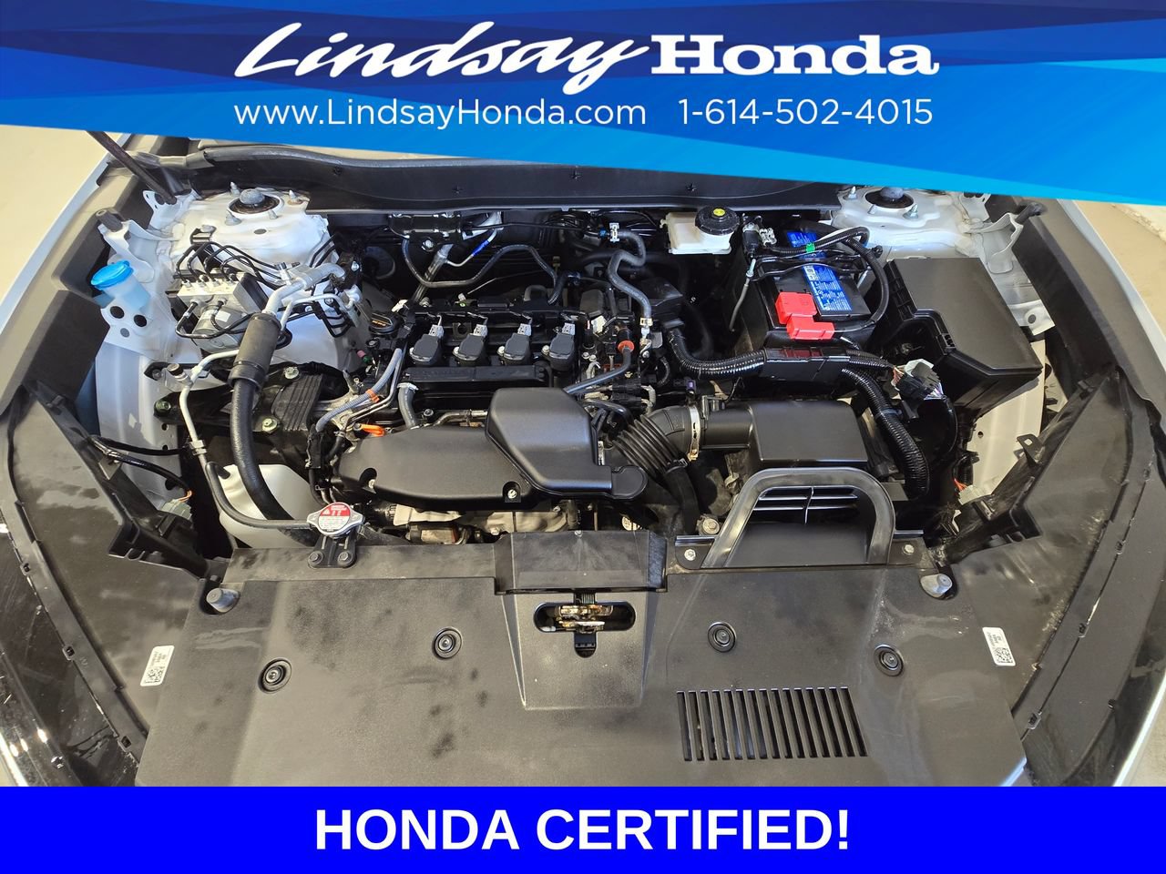 Certified 2024 Honda CR-V EX-L image 25