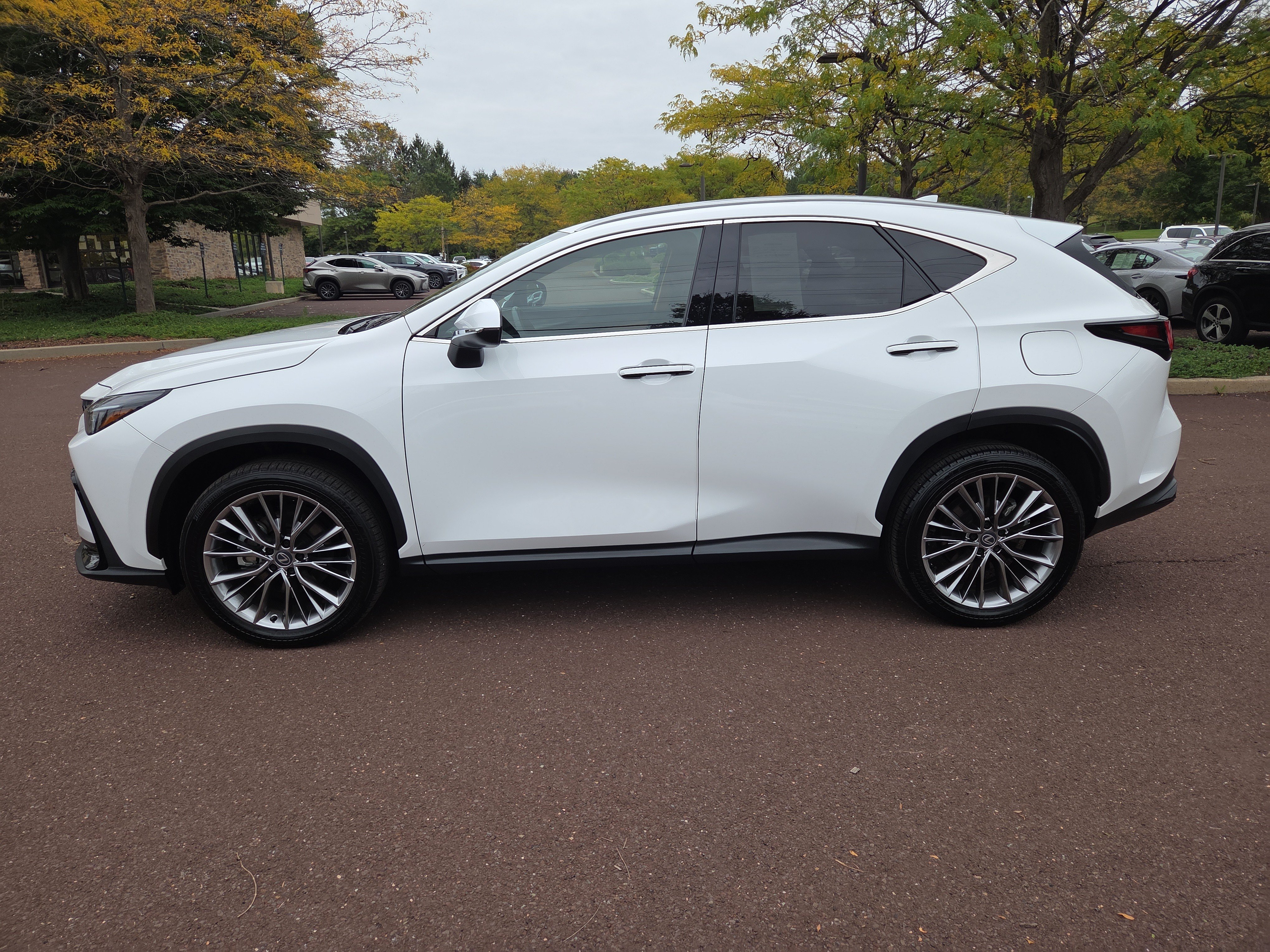 Certified 2026 Lexus NX 350h AWD w/ Cold Area Package image 6