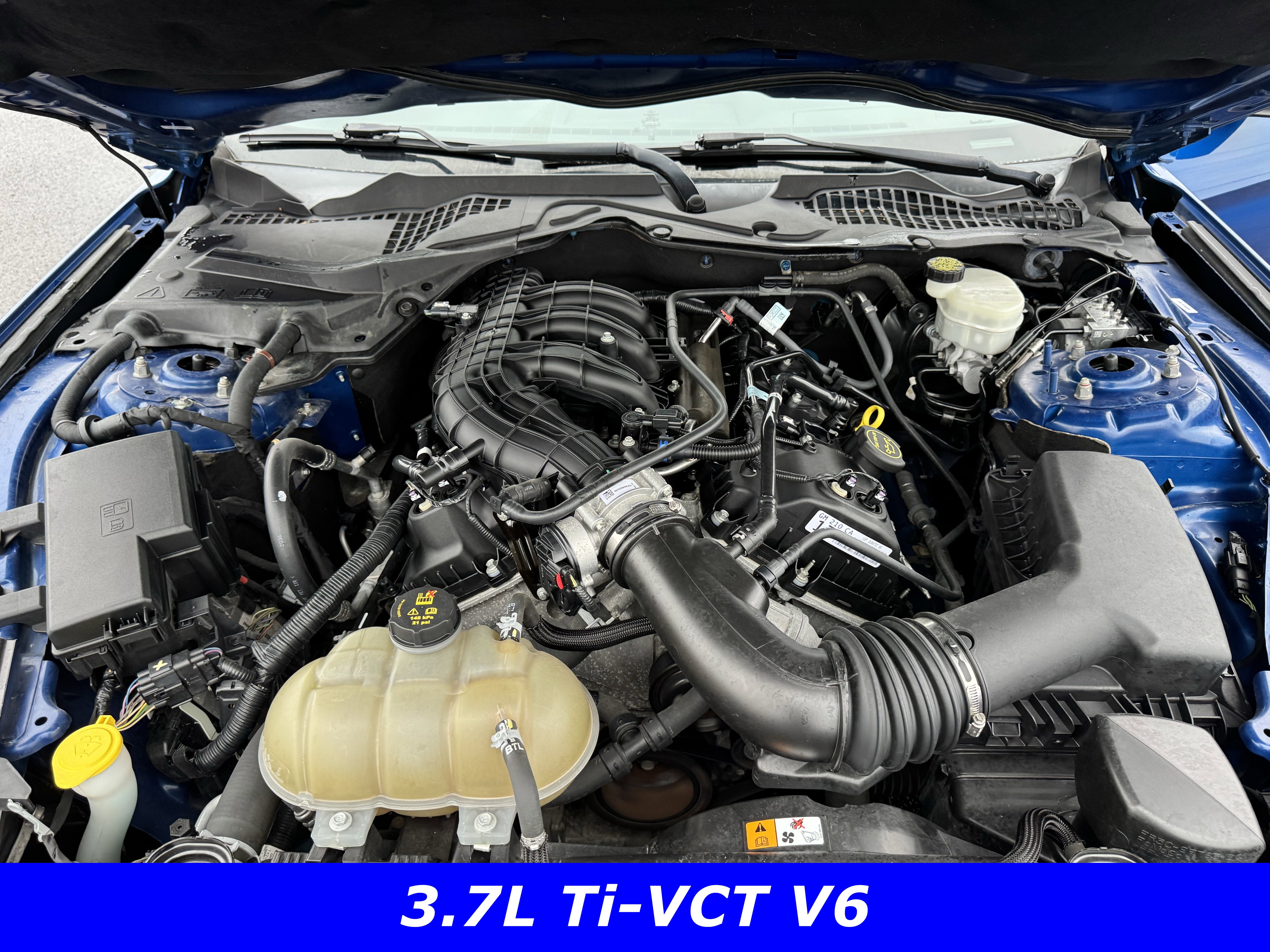 Used 2017 Ford Mustang Coupe image 12