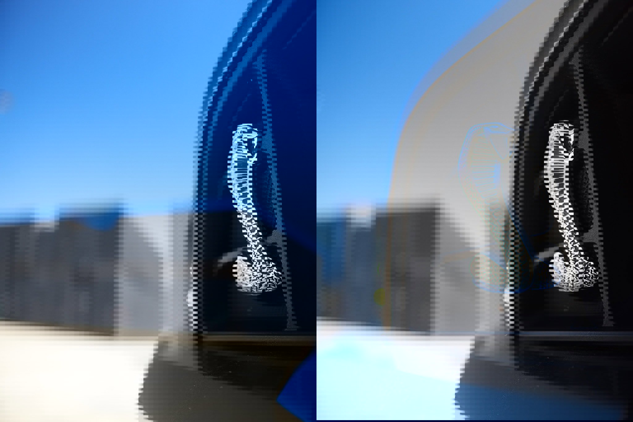 Used 2014 Ford Mustang Shelby GT500 w/ Equipment Group 821A image 42