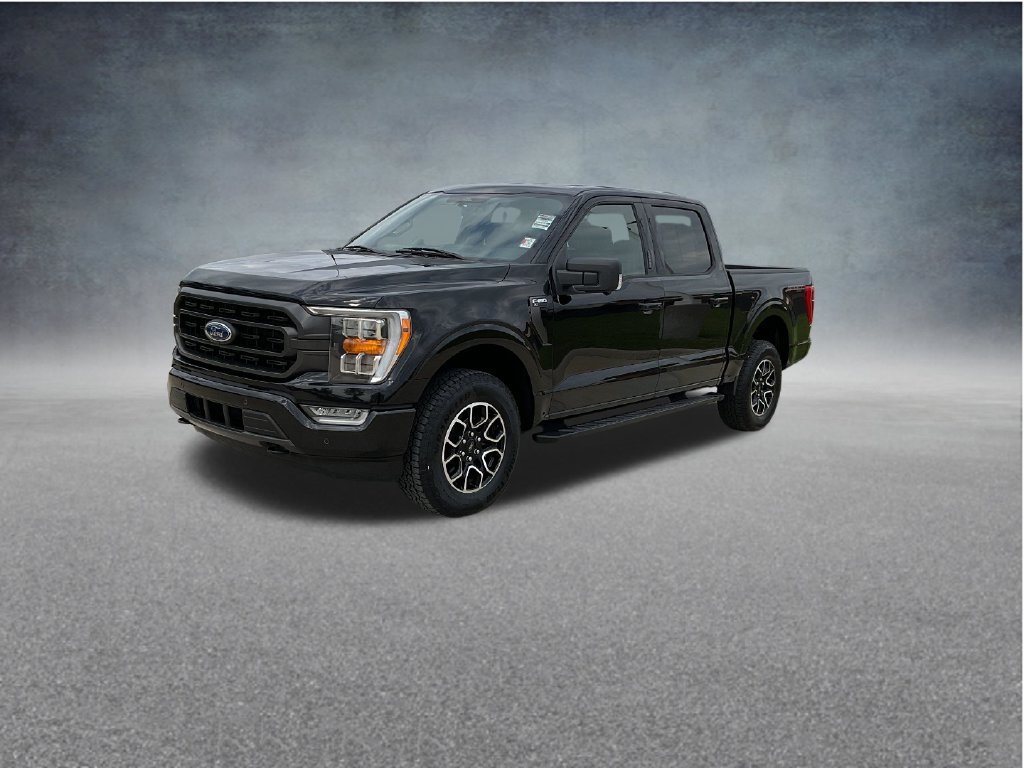 Used 2023 Ford F150 XLT w/ Equipment Group 302A High AWD/4WD image 3