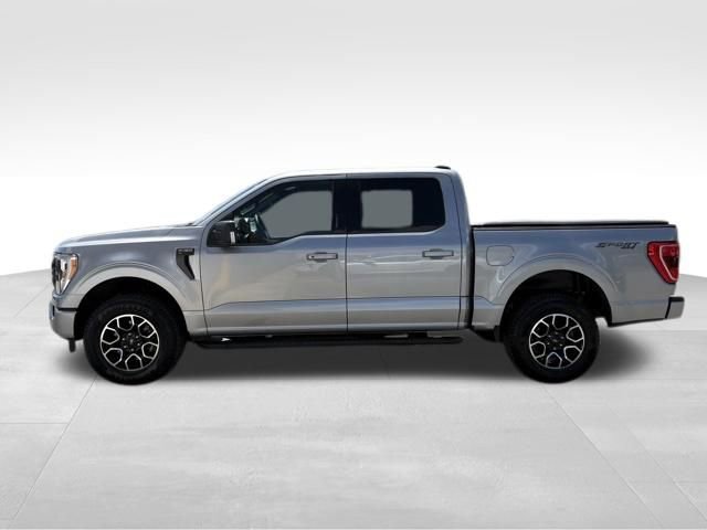 Used 2023 Ford F150 XLT w/ Equipment Group 302A High AWD/4WD image 11
