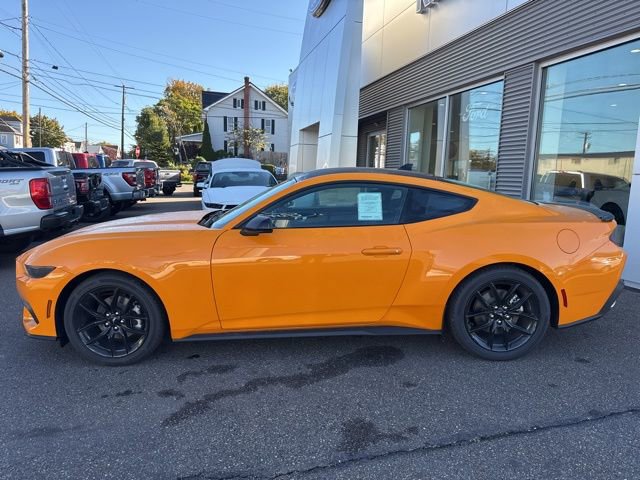 New 2026 Ford Mustang Coupe w/ Mustang Nite Pony Package RWD image 9