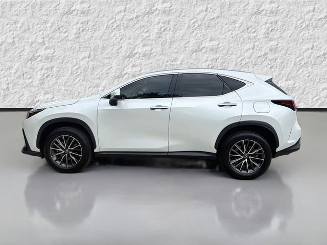 Used 2024 Lexus NX 350 AWD image 6