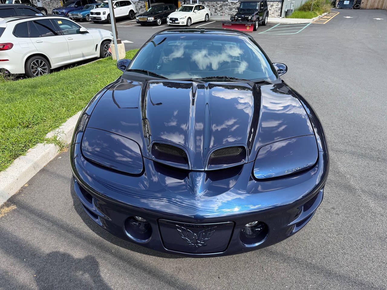 Used 2002 Pontiac Firebird Trans Am RWD image 10