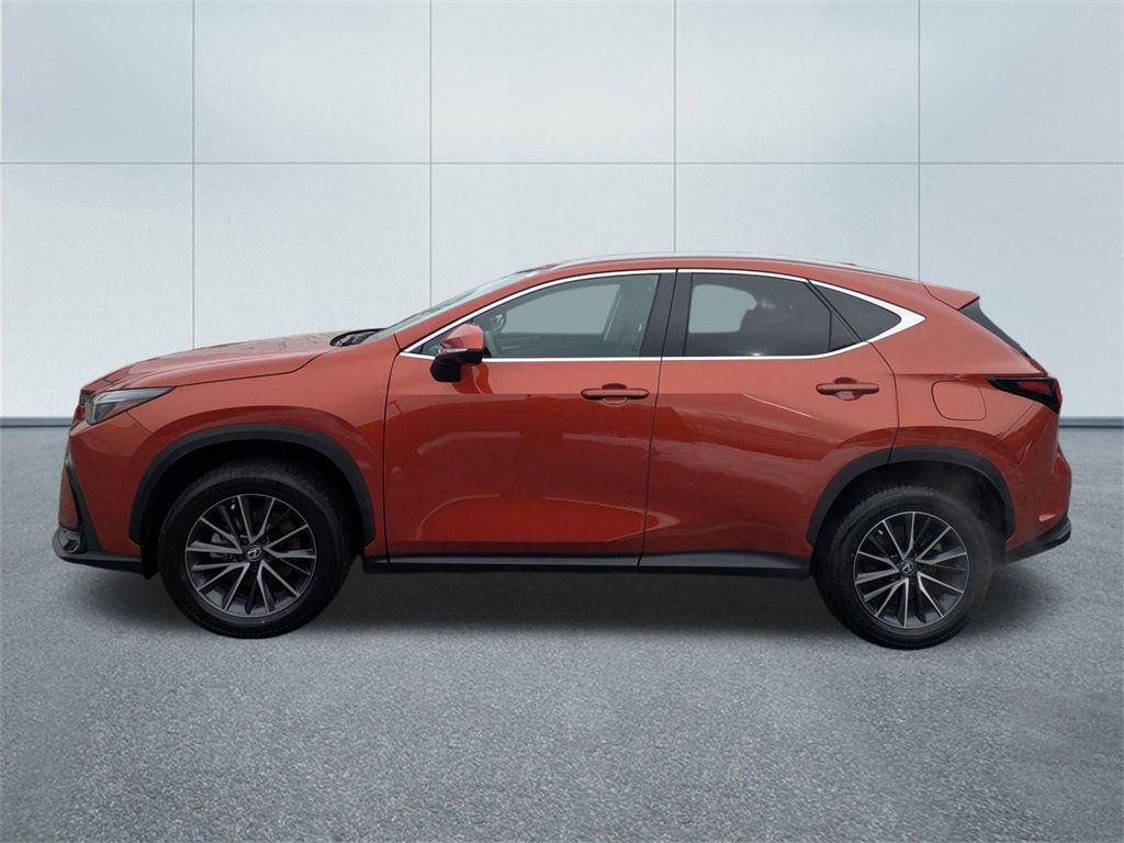 Used 2024 Lexus NX 350 AWD w/ Premium Package image 6