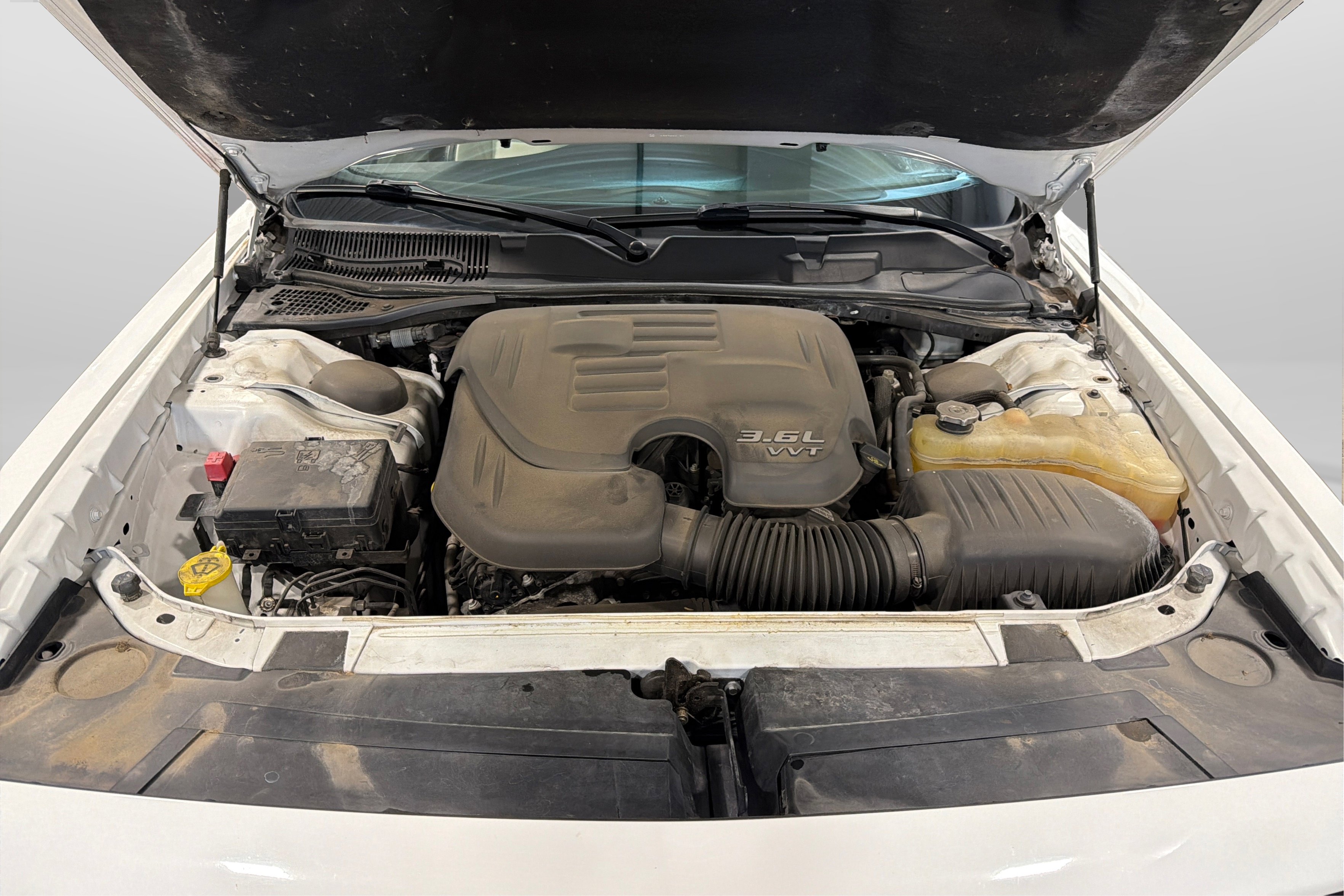 Used 2016 Dodge Challenger SXT Plus RWD image 11