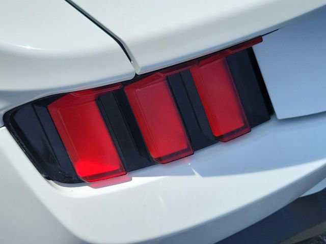 Used 2025 Ford Mustang Coupe RWD image 5