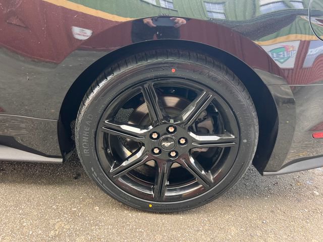 Used 2020 Ford Mustang GT w/ Equipment Group 301A RWD image 33