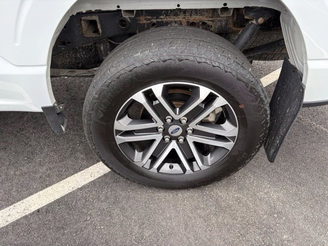 Certified 2023 Ford F150 XL w/ STX Appearance Package AWD/4WD image 11