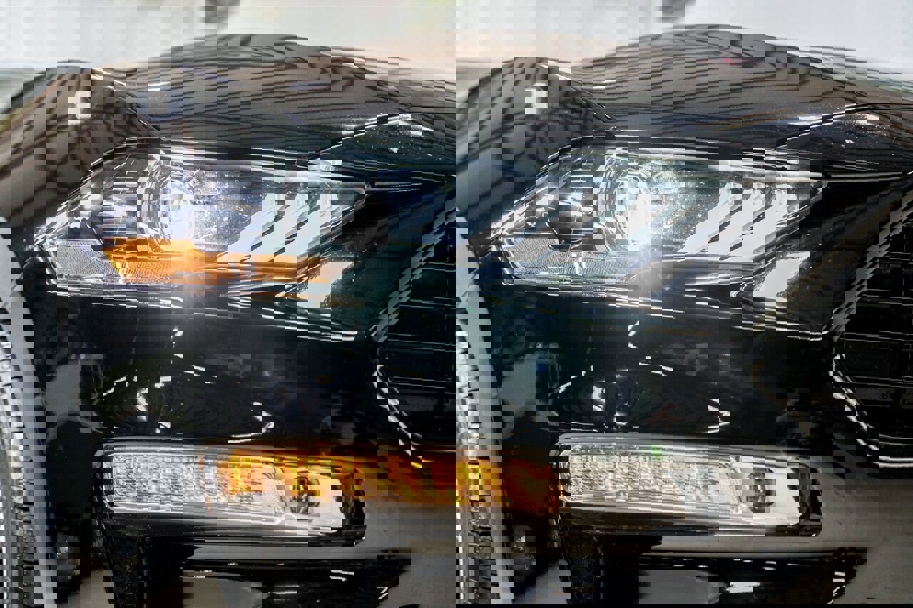 Used 2020 Ford Mustang GT Premium w/ California Special Package image 21