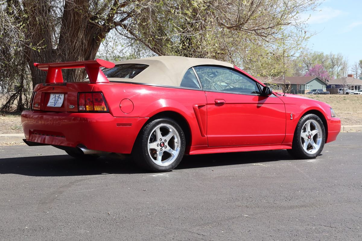 Used 1999 Ford Mustang Cobra image 5