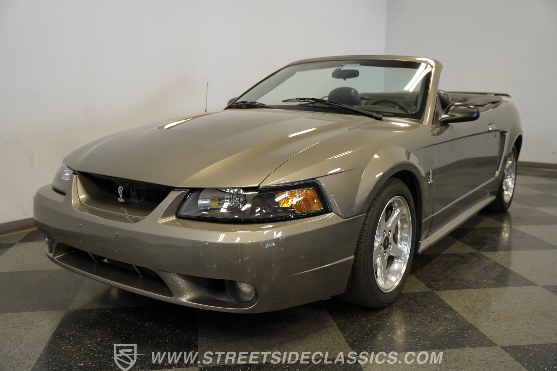 Used 2001 Ford Mustang Cobra RWD image 19