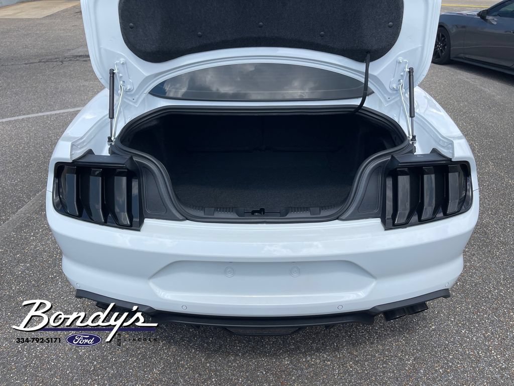 Used 2023 Ford Mustang GT Premium w/ Equipment Group 401A RWD image 14