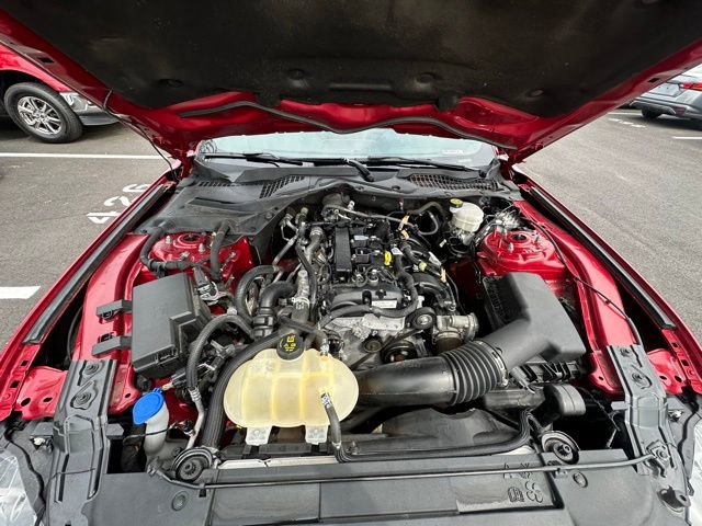 Used 2022 Ford Mustang Premium w/ Black Accent Package RWD image 16