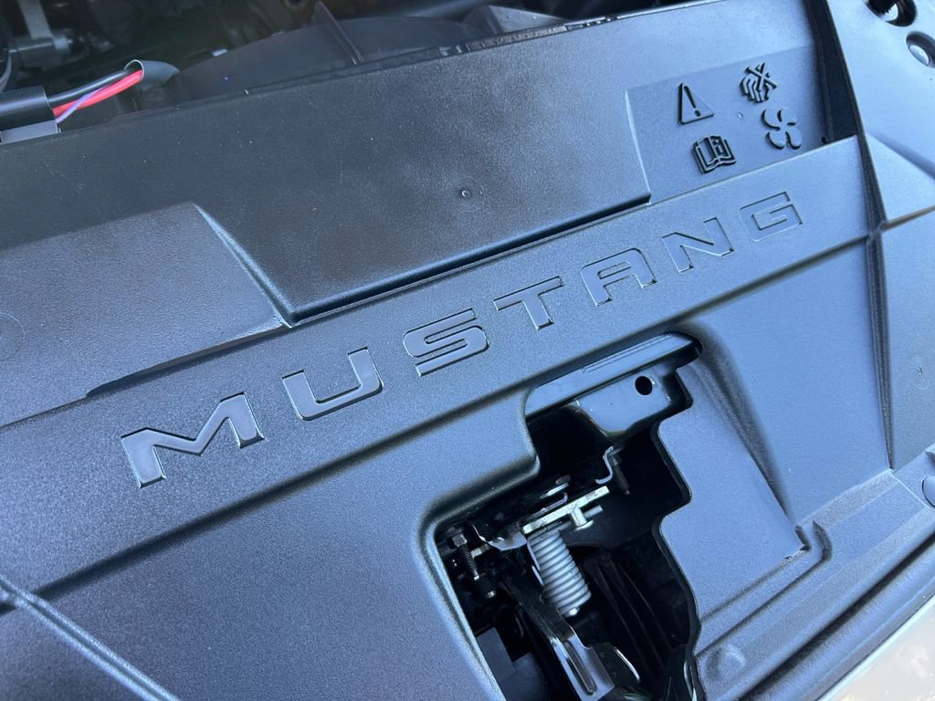 Used 2024 Ford Mustang Premium image 31