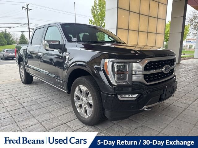 Used 2023 Ford F150 Platinum w/ Equipment Group 701A High AWD/4WD video 1