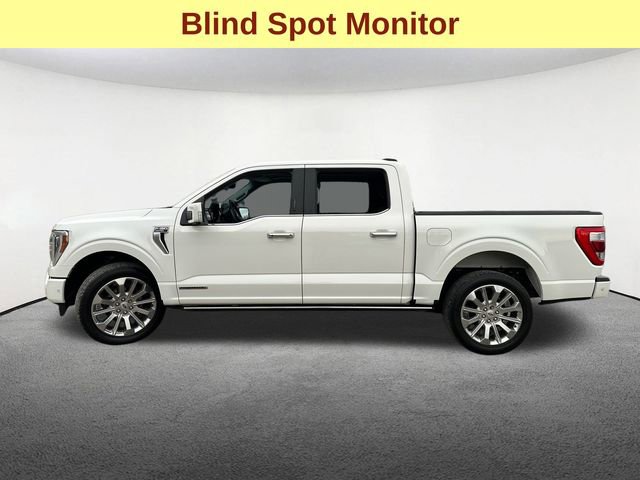 Used 2023 Ford F150 Limited image 6