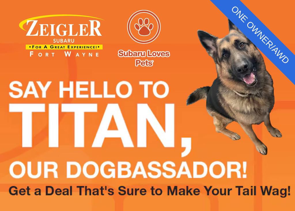 Used 2025 MAZDA CX-5 AWD 2.5 S w/ Select Package image 11