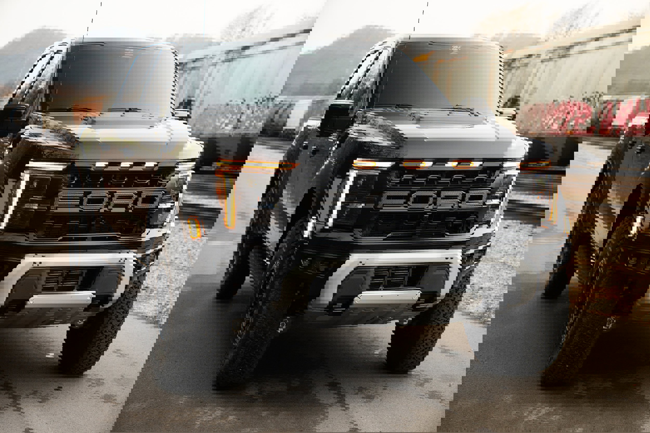 Used 2025 Ford F150 Raptor image 4