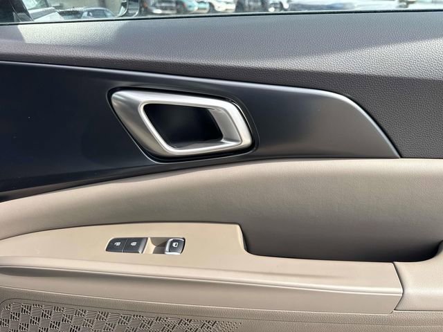 New 2026 Kia Carnival image 19