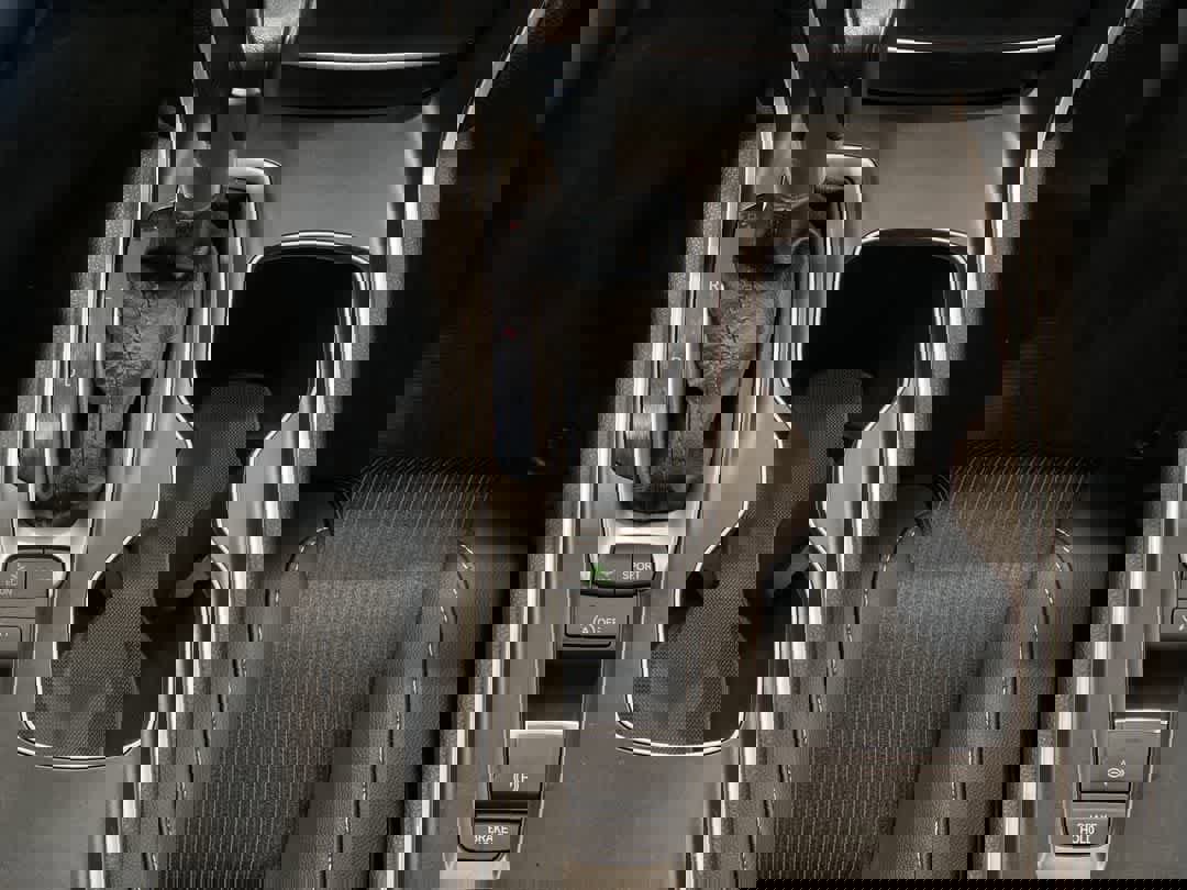 Used 2021 Honda Accord Sport image 23