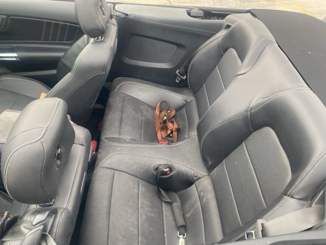 Used 2019 Ford Mustang GT Premium w/ Ford Safe & Smart Package image 11