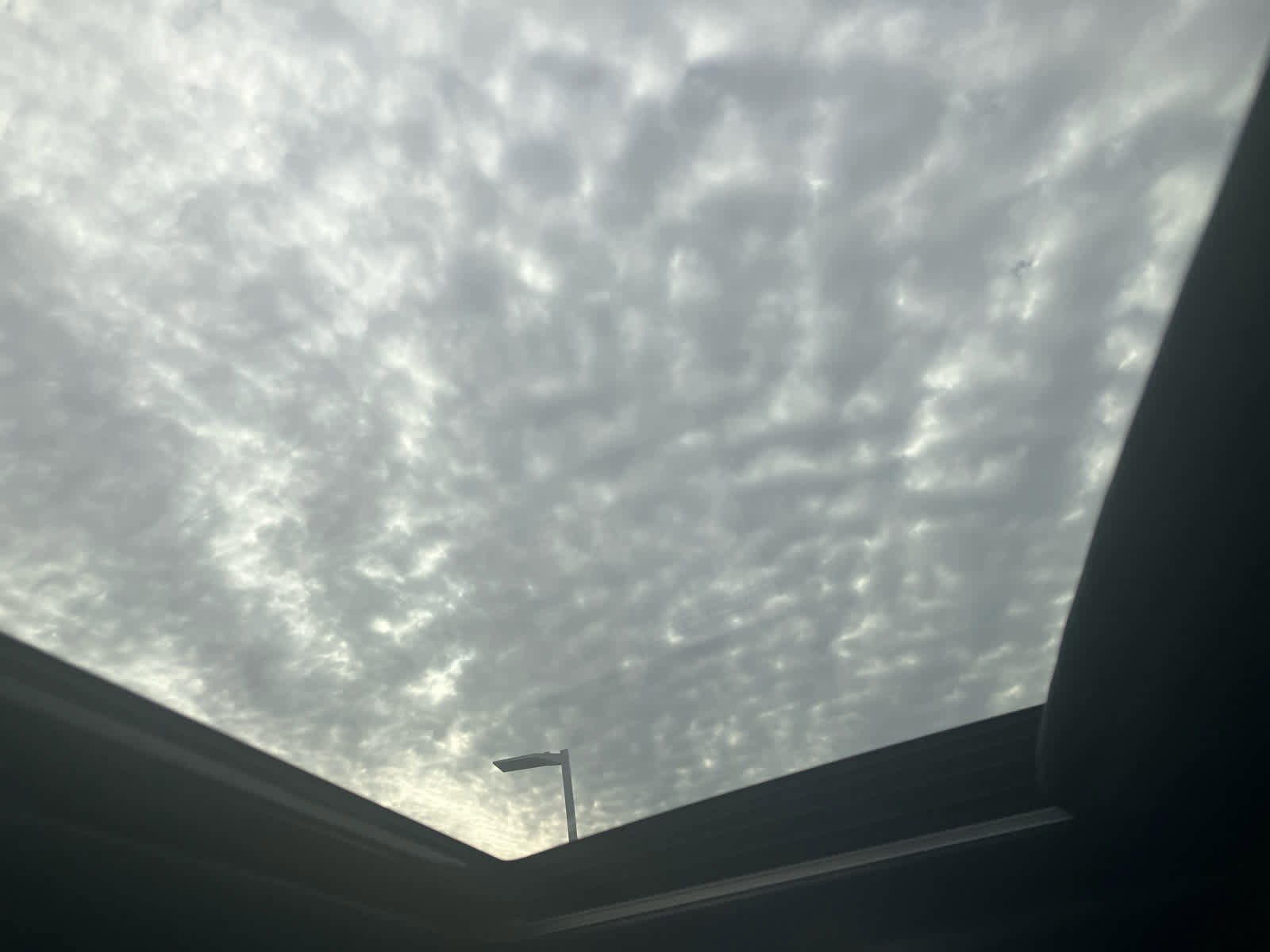 New 2026 Chevrolet Colorado Z71 w/ Technology Package image 19