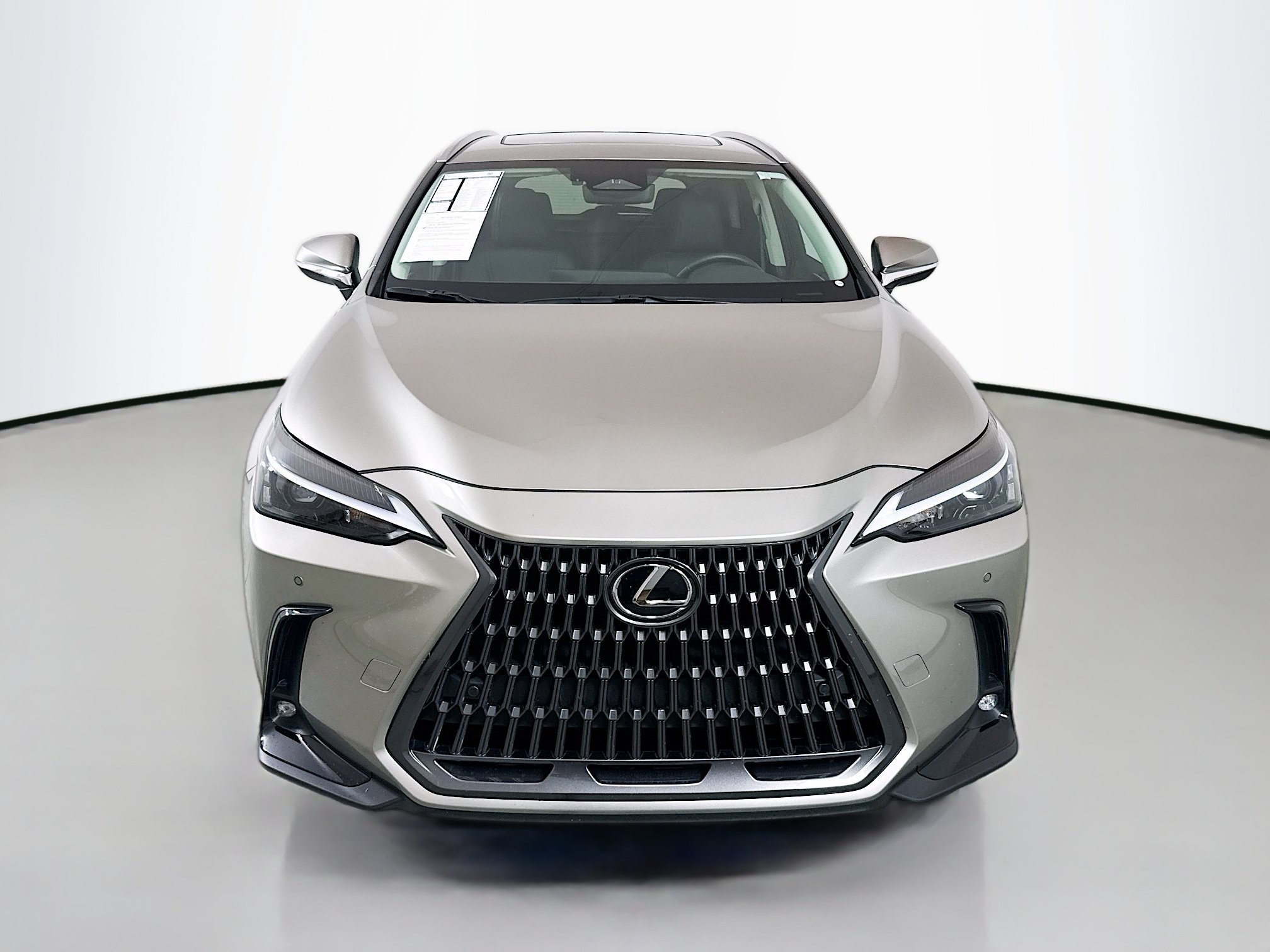 Certified 2024 Lexus NX 350 AWD image 2