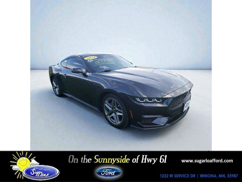 Used 2024 Ford Mustang Coupe image 1