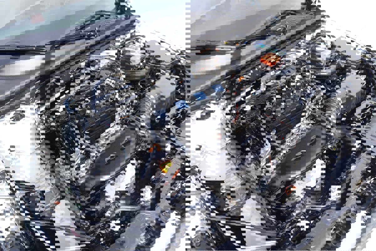 Used 2026 Honda Civic Si image 4