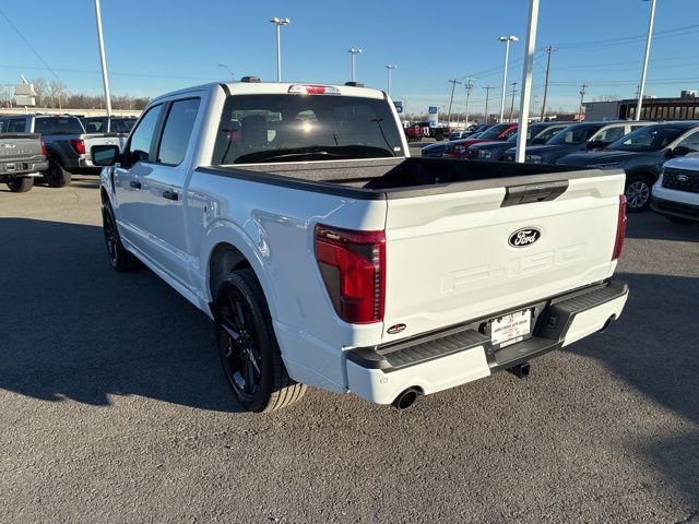 New 2025 Ford F150 STX w/ LOBO Package image 3