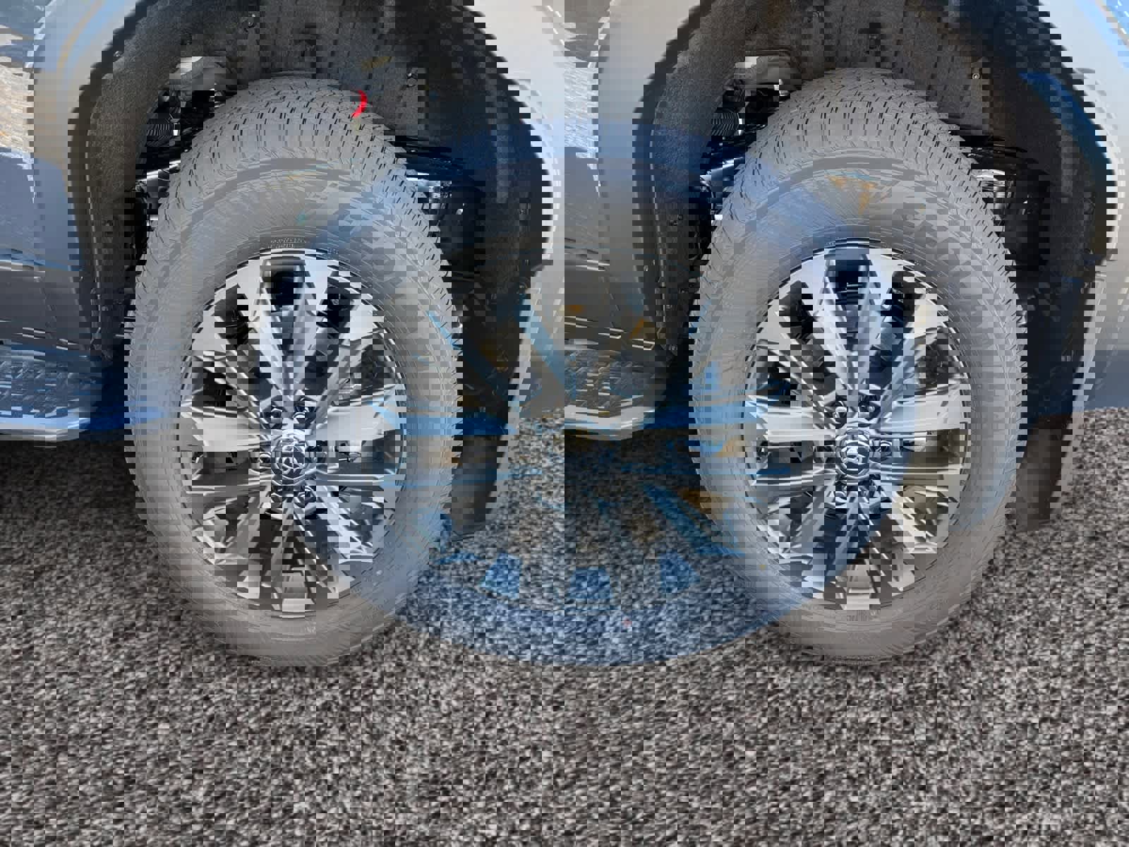 New 2025 Toyota Land Cruiser w/ Premium Package image 14