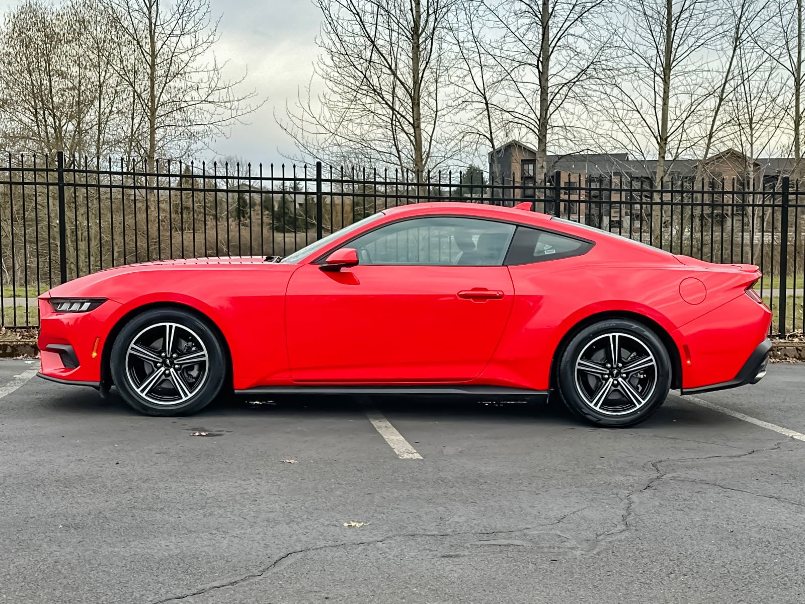 Used 2024 Ford Mustang Premium image 6