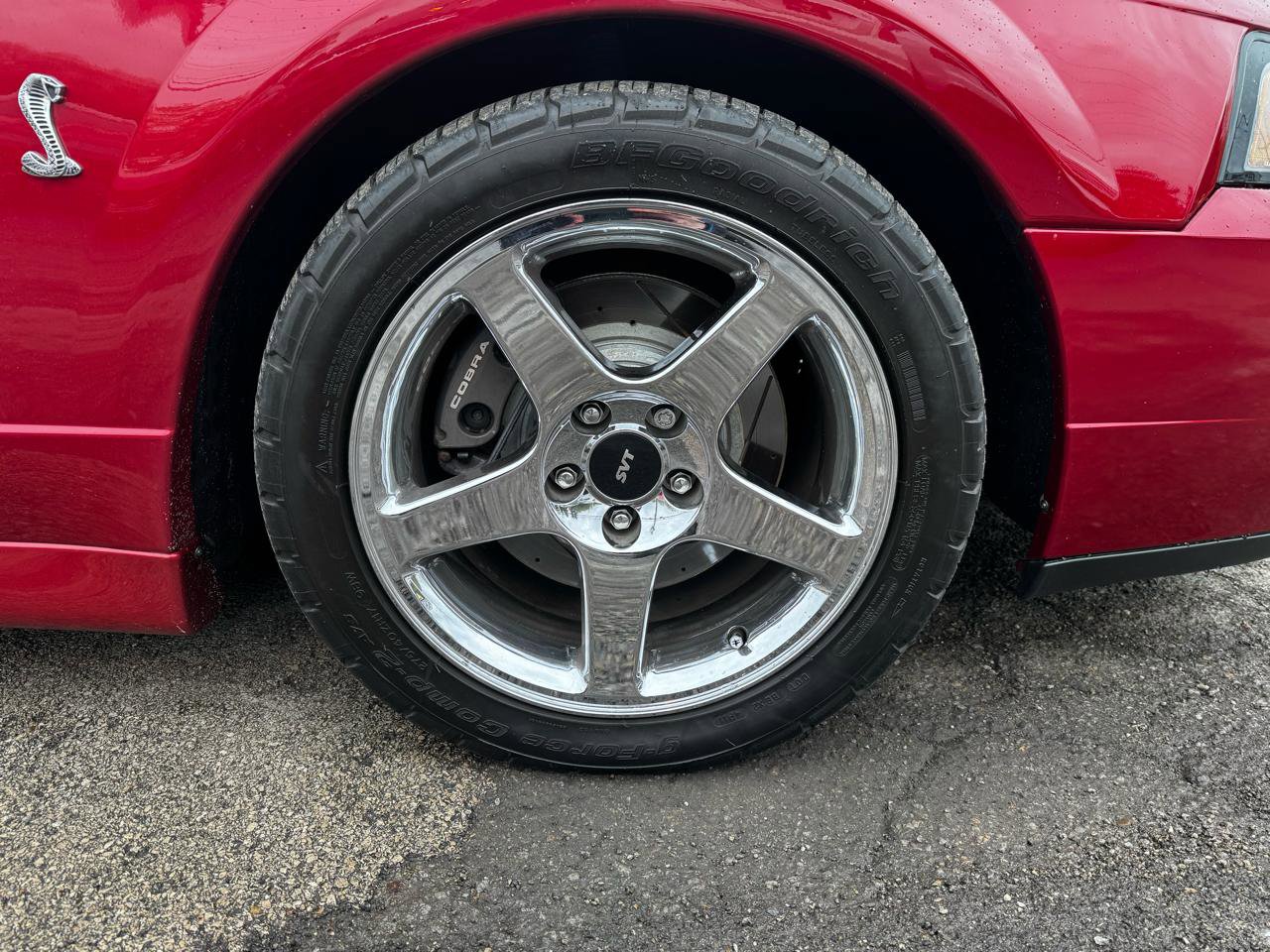 Used 2004 Ford Mustang Cobra RWD image 38