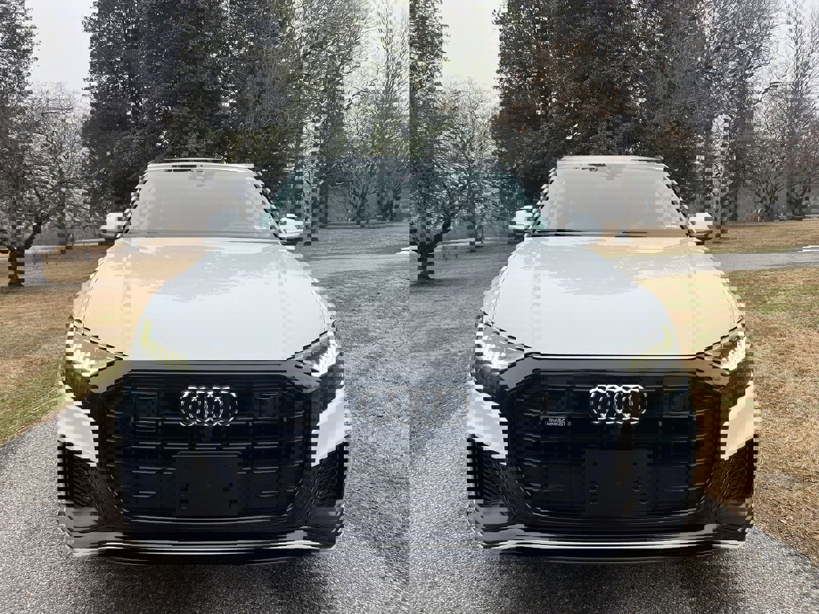 Used 2019 Audi Q8 Prestige image 3