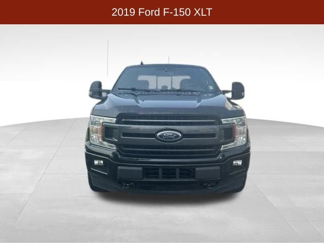 Used 2019 Ford F150 XLT w/ Equipment Group 302A Luxury AWD/4WD image 2