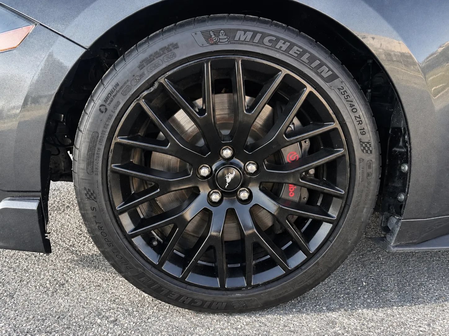 Used 2019 Ford Mustang GT w/ GT Performance Package RWD image 12