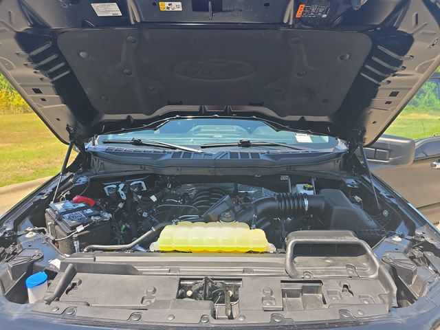 Used 2025 Ford F150 XLT w/ Equipment Group 301A Standard AWD/4WD image 29