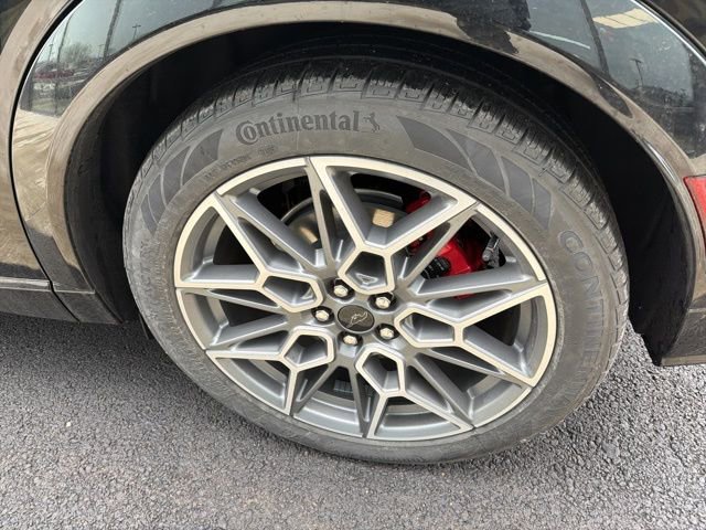 New 2025 Ford Mustang Mach-E GT w/ Interior Protection Package image 6