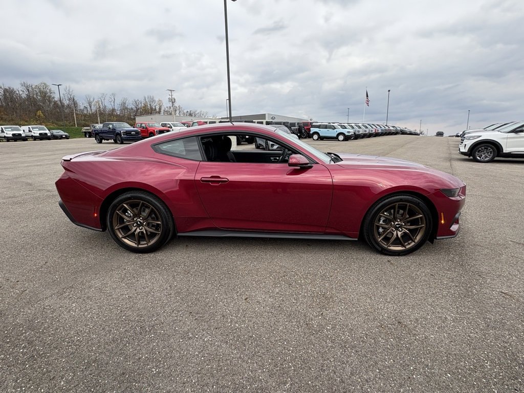 New 2026 Ford Mustang EcoBoost w/ Bronze Appearance Package image 6