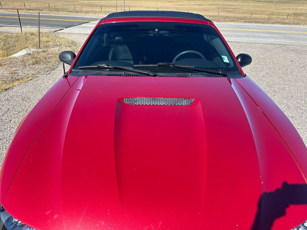 Used 2001 Ford Mustang Convertible RWD image 9