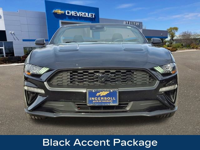Used 2021 Ford Mustang Convertible w/ Equipment Group 101A image 3
