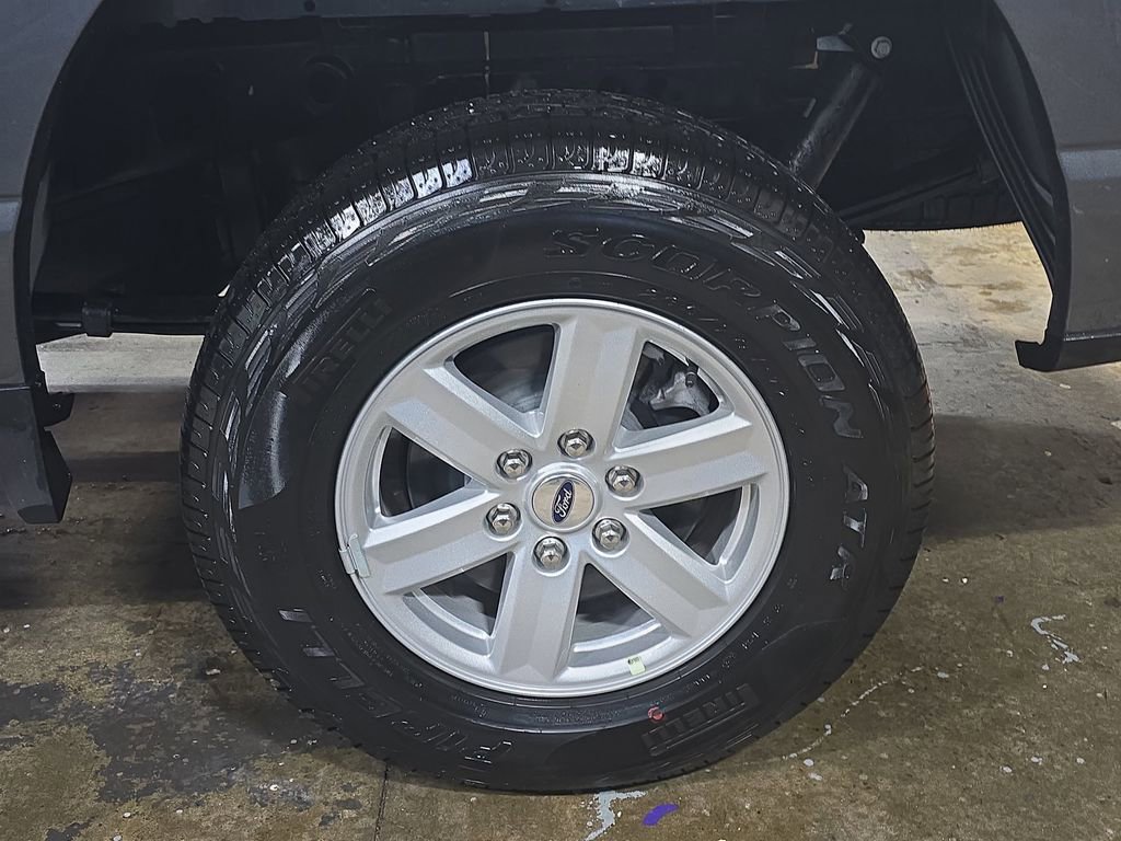 Used 2026 Ford F150 XL w/ Equipment Group 103A High image 29