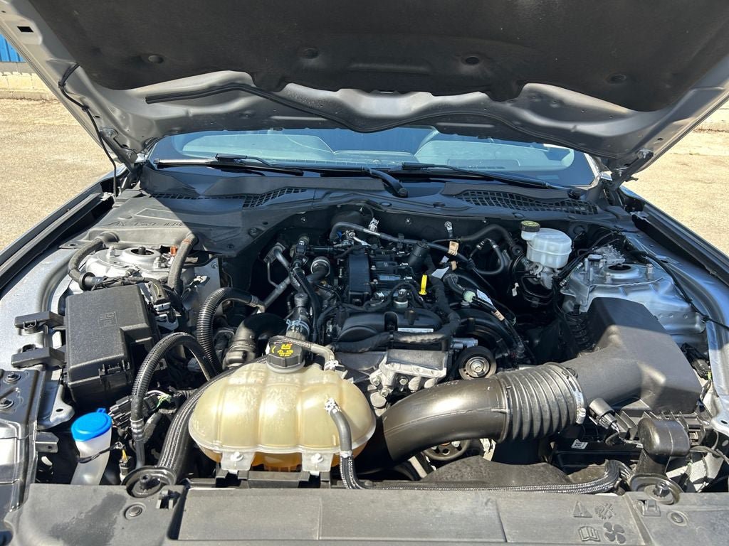 Used 2023 Ford Mustang Premium w/ Equipment Group 201A RWD image 29