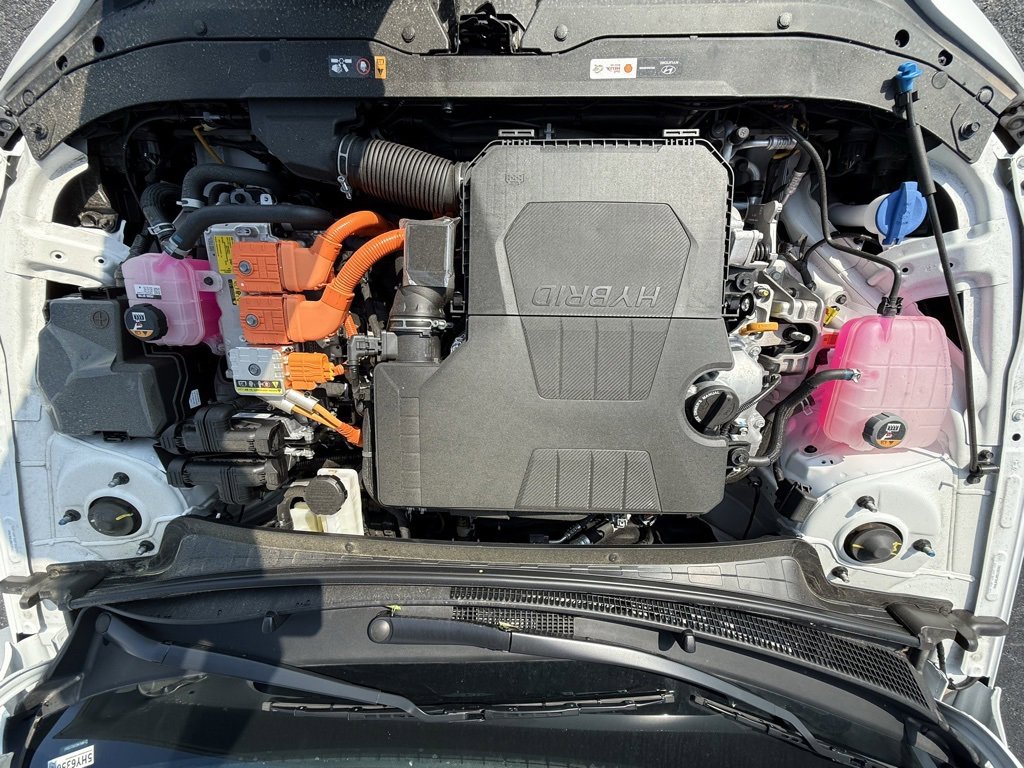 New 2025 Hyundai Elantra Limited image 33